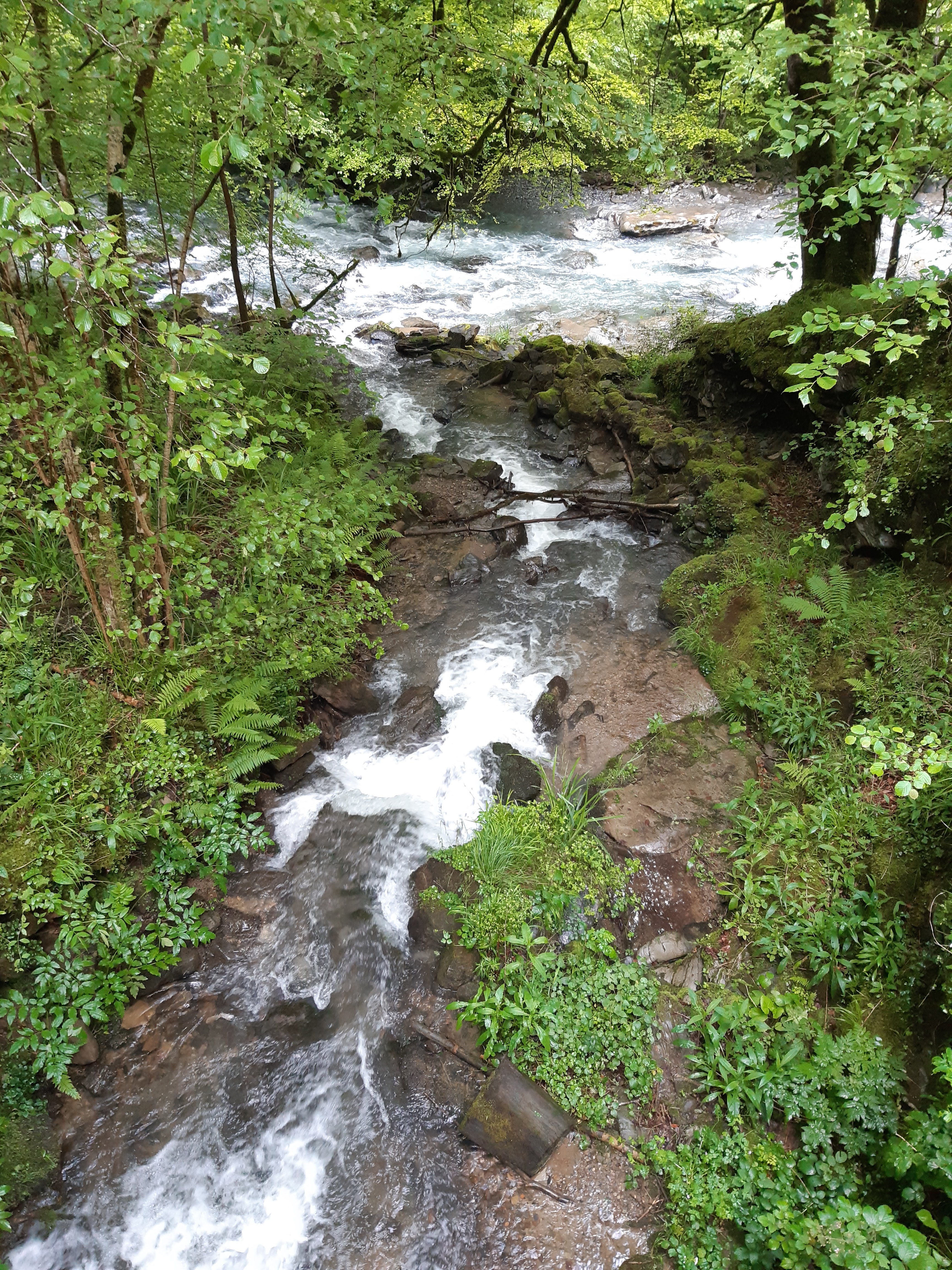 Photo n° 5 de l'avis de isa.l fait le 15/06/2020 à 05:33