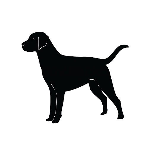 Winery «Portland Wine Bar & Winery Tasting Room», reviews and photos, 526 SW Yamhill St, Portland, OR 97204, USA