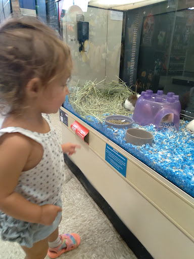 Pet Supply Store «PetSmart», reviews and photos, 467 Cross Keys Rd, Sicklerville, NJ 08081, USA