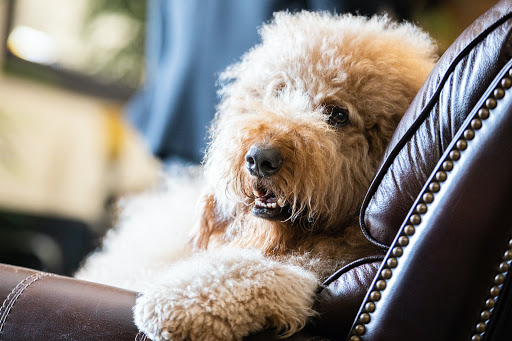 Funeral Home «Carter Funeral Home», reviews and photos, 13701 Corpus Christi St, Houston, TX 77015, USA