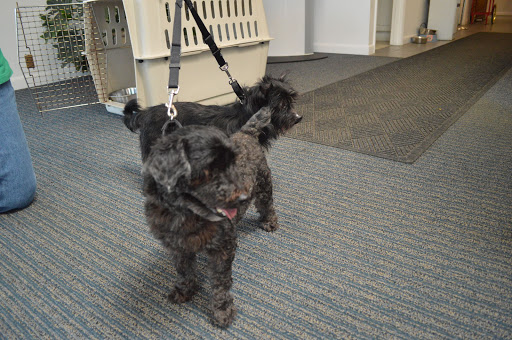 Subaru Dealer «Stanley Subaru», reviews and photos, 22 Bar Harbor Rd, Trenton, ME 04605, USA