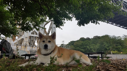 Park «Fort Washington Park», reviews and photos, Hudson River Greenway, New York, NY 10032, USA