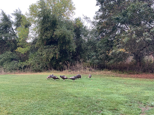 Golf Course «Redwood Canyon Golf Course», reviews and photos, 17007 Redwood Rd, Castro Valley, CA 94546, USA