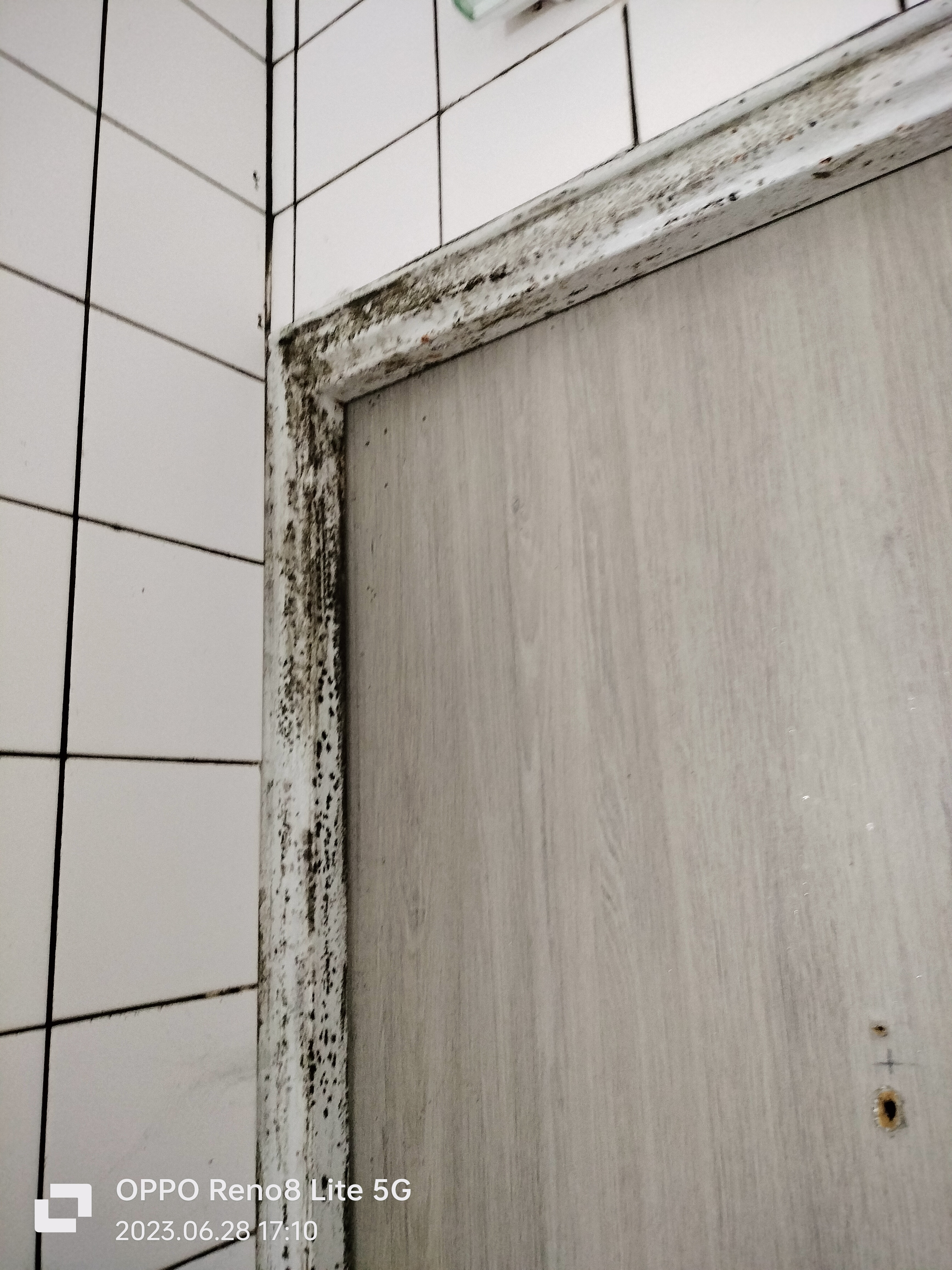 Photo n° 3 de l'avis de sylvain.o fait le 28/06/2023 à 15:13
