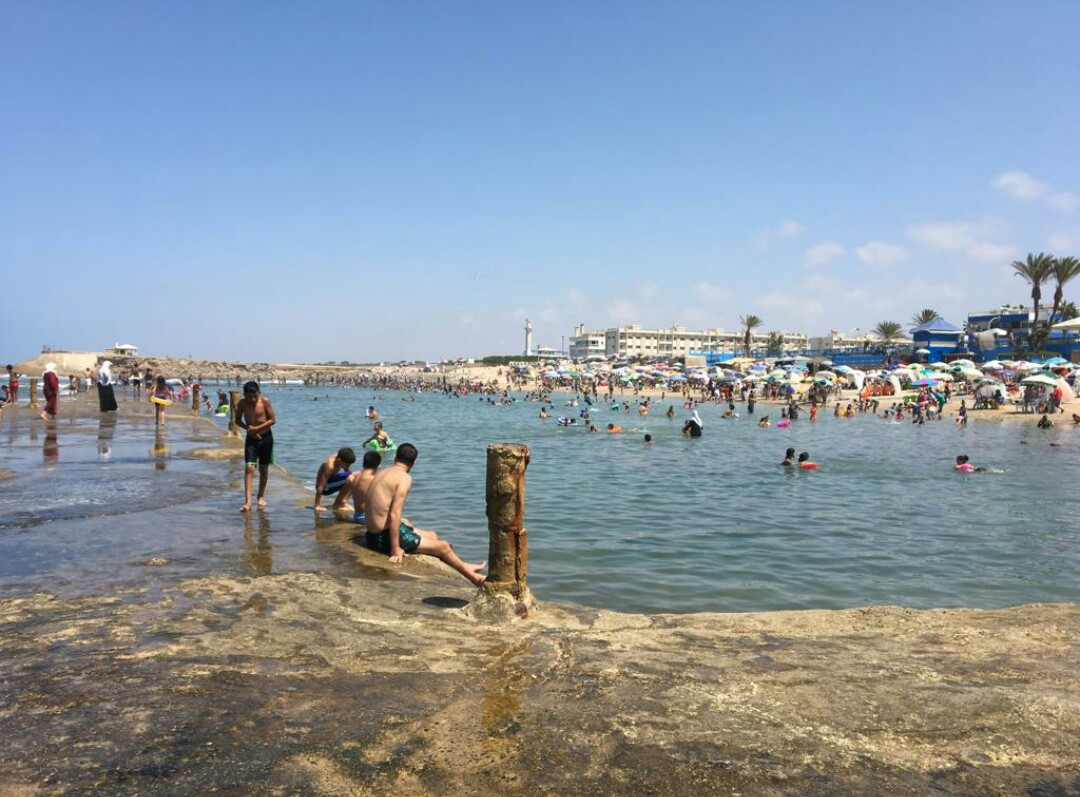 Foto di Plage Les Palmiers con baia spaziosa