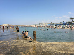 Foto di Plage Les Palmiers con baia spaziosa