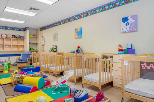 Preschool «Primrose School of Brentwood», reviews and photos, 5320 Maryland Way, Brentwood, TN 37027, USA