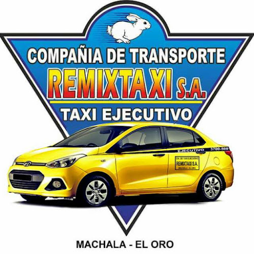 Remix Taxi S.A.