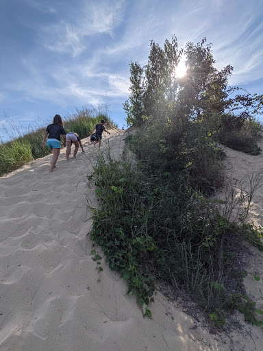 Tourist Attraction «Saugatuck Dune Rides Inc», reviews and photos, 6495 Blue Star Hwy, Saugatuck, MI 49453, USA