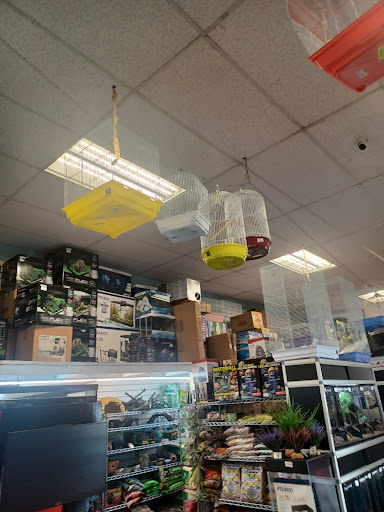 Pet Store «Pet Resources», reviews and photos, 814 Westchester Ave, Bronx, NY 10455, USA