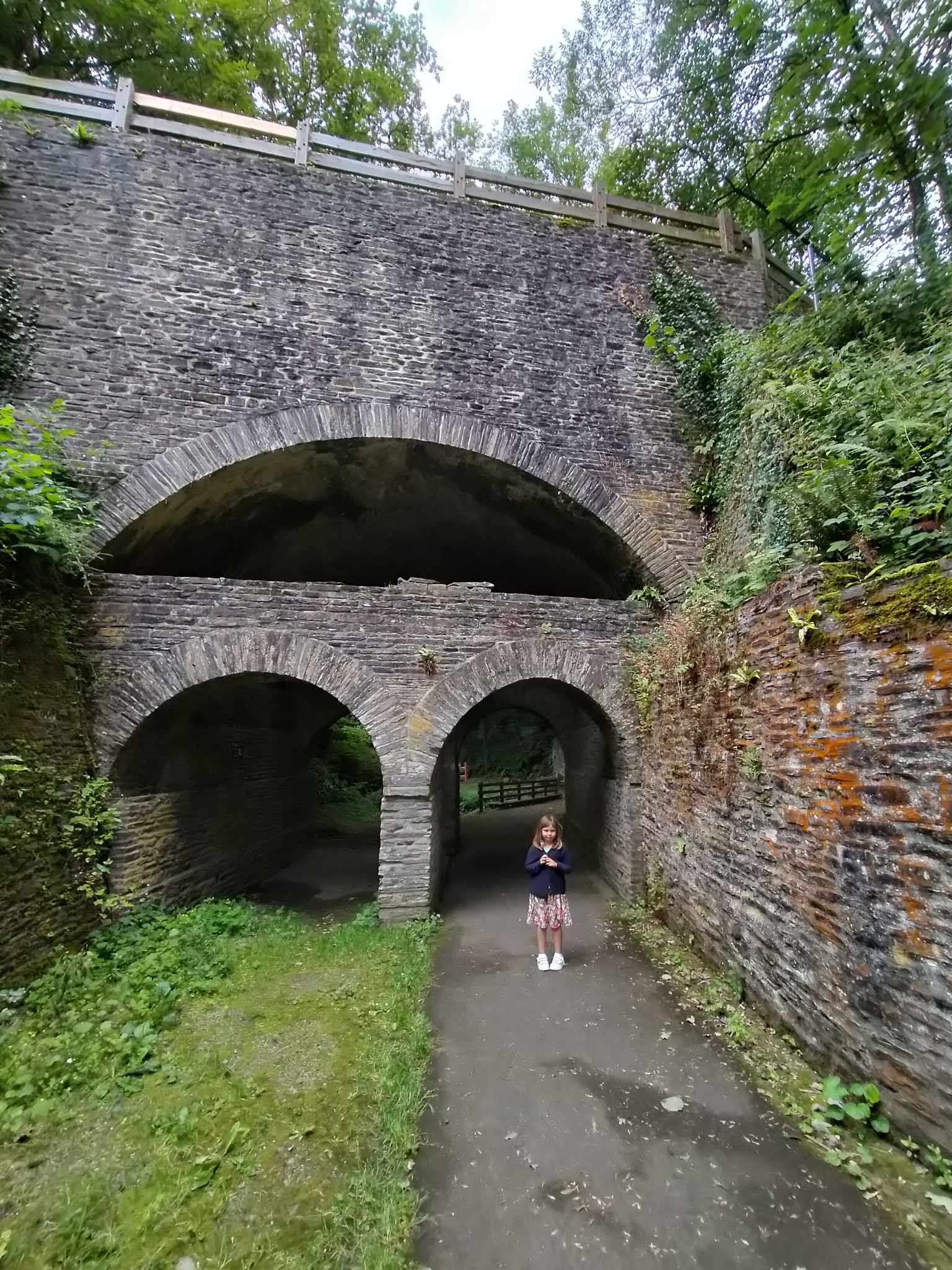 Photo n° 8 de l'avis de Sylvie.e fait le 17/07/2023 à 05:17