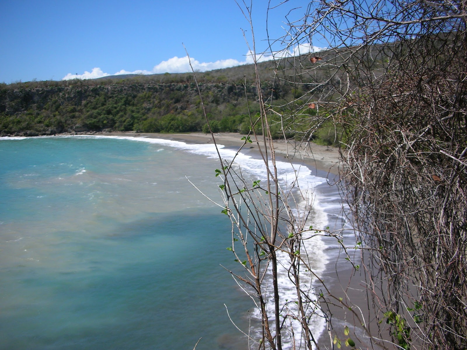 Foto de Playa Toro con agua turquesa superficie