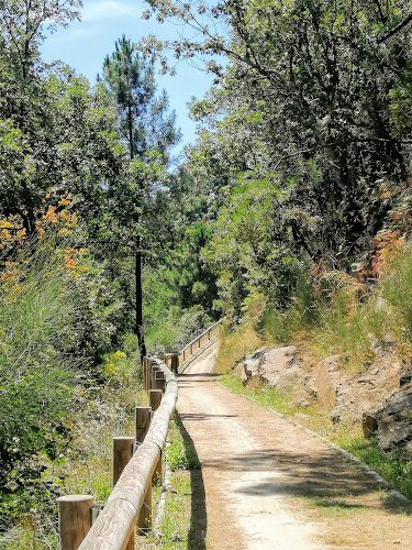 Baloiços parque corgo - Vila Real