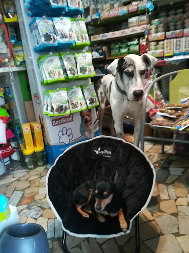 Pablito pet shop