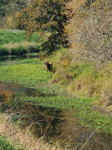 Golf Course «Mint Valley Golf Course», reviews and photos, 4002 Pennsylvania St, Longview, WA 98632, USA