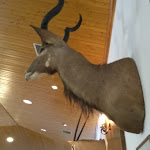 Photo n°2 de l'avis de Judite.o fait le 01/12/2019 à 08:07 sur le  O Talho à Atouguia da Baleia