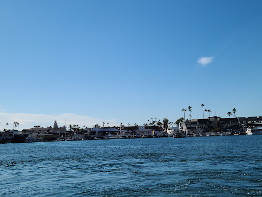 Grocery Store «Island Market», reviews and photos, 500 S Bay Front # A, Newport Beach, CA 92662, USA