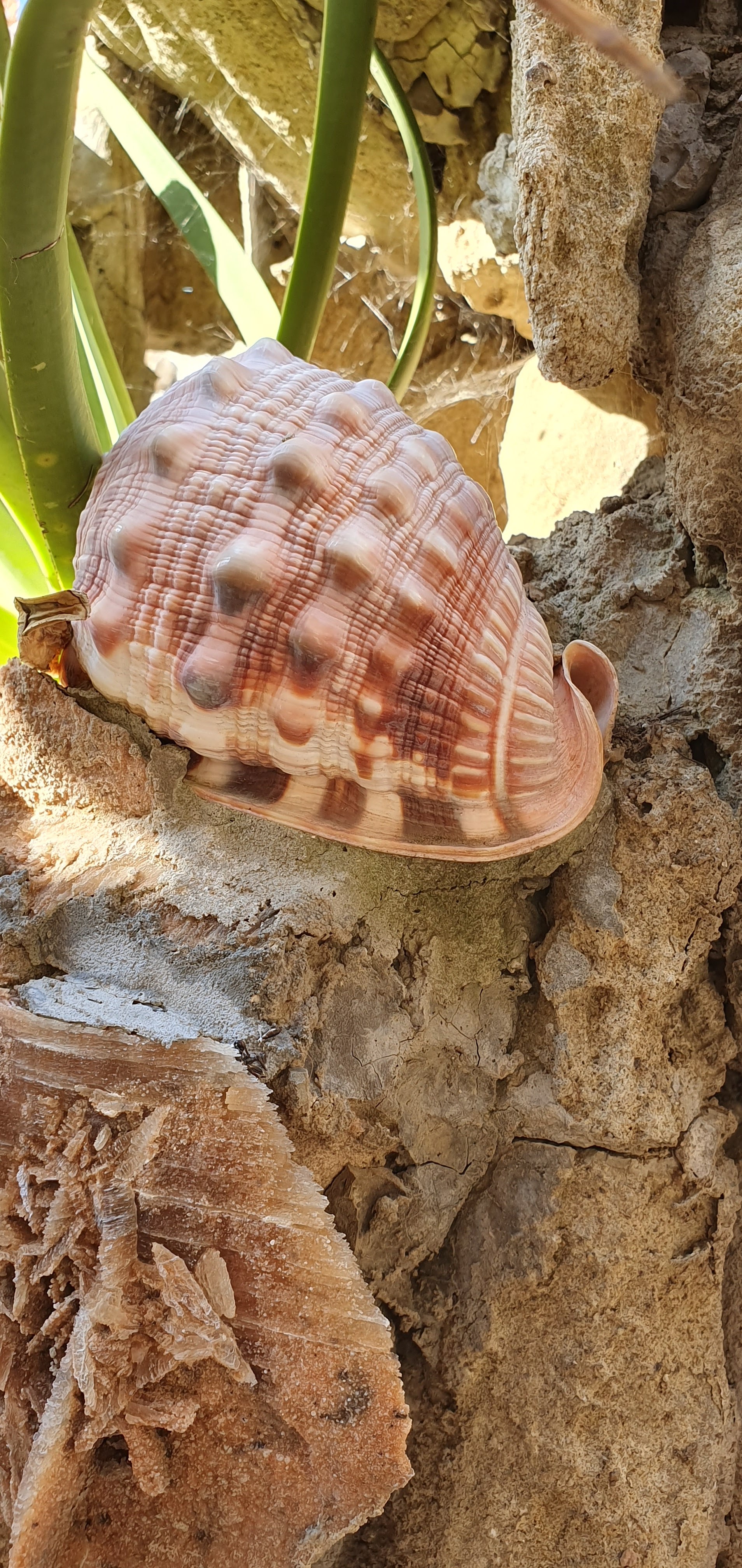 Photo n° 11 de l'avis de Alice.. fait le 12/09/2019 à 01:13