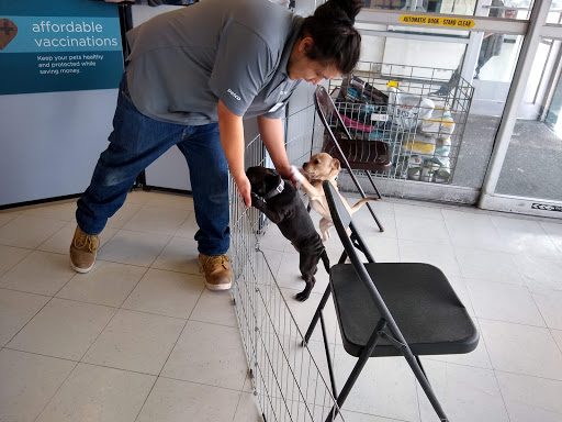 Pet Supply Store «Petco Animal Supplies», reviews and photos, 8010 Wedgewood Ln N, Maple Grove, MN 55369, USA