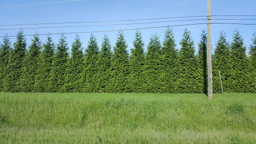 Fast Food Restaurant «Chick-fil-A», reviews and photos, 1002 Edwards Ferry Rd NE, Leesburg, VA 20176, USA