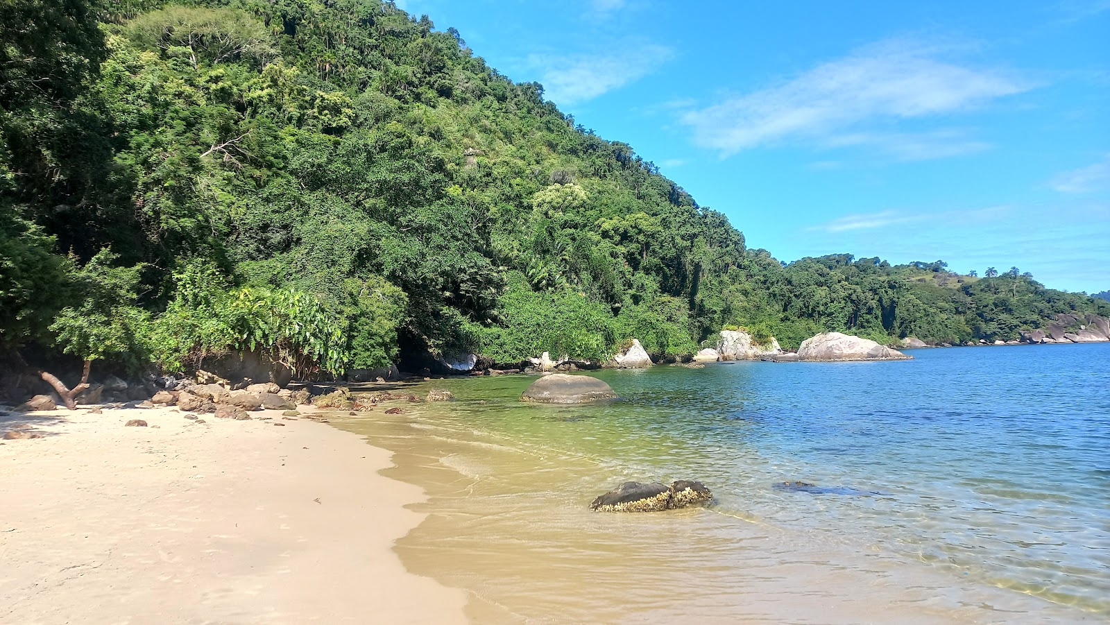 Tanguazinho Beach'in fotoğrafı doğal alan içinde bulunmaktadır