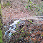 Photo n°8 de l'avis de Gudrun.e fait le 29/12/2023 à 15:32 sur le  Restaurant Sallneck à Kleines Wiesental