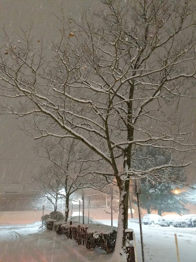 Hotel «Embassy Suites by Hilton Boston/Waltham», reviews and photos, 550 Winter St, Waltham, MA 02451, USA