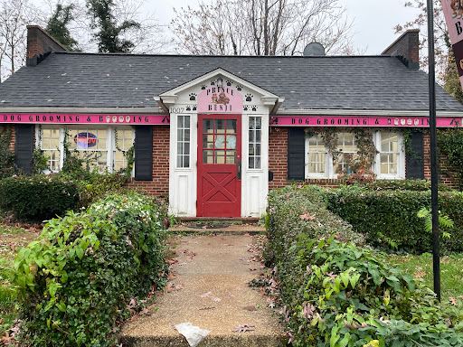 Prince Benji Dog Grooming