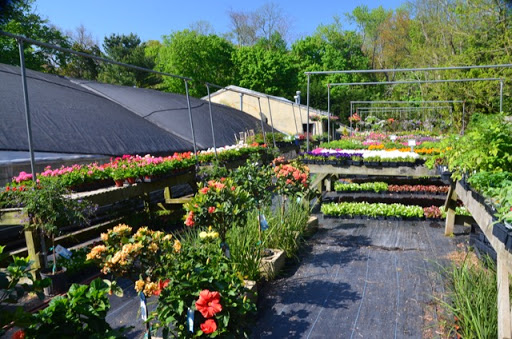 Florist «Guaranteed Plants & Florist», reviews and photos, 504 Locust Point Rd, Rumson, NJ 07760, USA