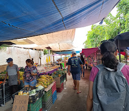 Tianguis Mojoneras photo