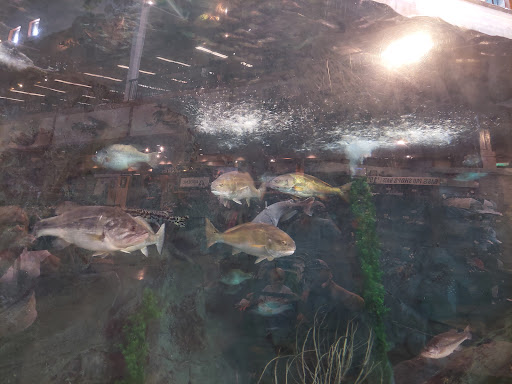 Shopping Mall «Gulf Coast Town Center», reviews and photos, 9903 Gulf Coast Main St, Fort Myers, FL 33913, USA