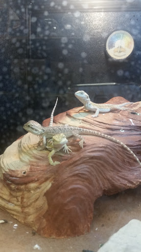 Pet Supply Store «PetSmart», reviews and photos, 279 E Fairmount Ave, Lakewood, NY 14750, USA