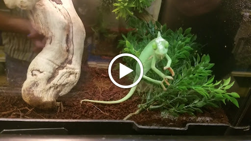 Pet Supply Store «PetSmart», reviews and photos, 482 Stillwater Ave Ste 2A, Bangor, ME 04401, USA