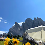 Photo n°5 de l'avis de Marco. fait le 16/08/2021 à 15:19 sur le  Gschnagenhardt-Alm à Villnöß