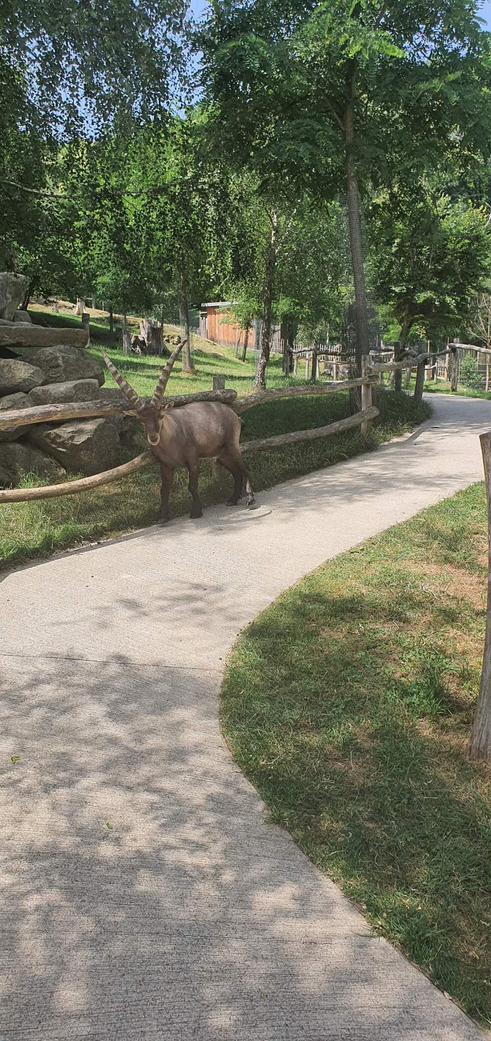 Photo n° 4 de l'avis de Dominique. fait le 18/06/2022 à 21:36