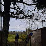 Photo n°13 de l'avis de Alexander.e fait le 22/05/2023 à 22:51 sur le  Agriturismo Scalelle à Otranto