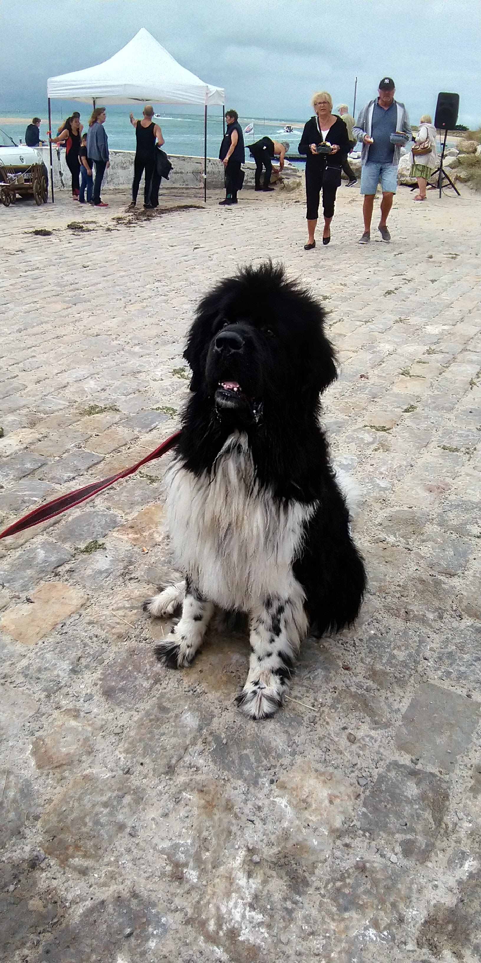 Photo n° 5 de l'avis de ruby.o fait le 23/08/2018 à 20:43