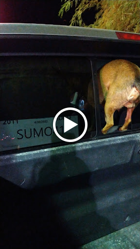 Gas Station «Circle K», reviews and photos, 12707 W Grand Ave, Surprise, AZ 85374, USA