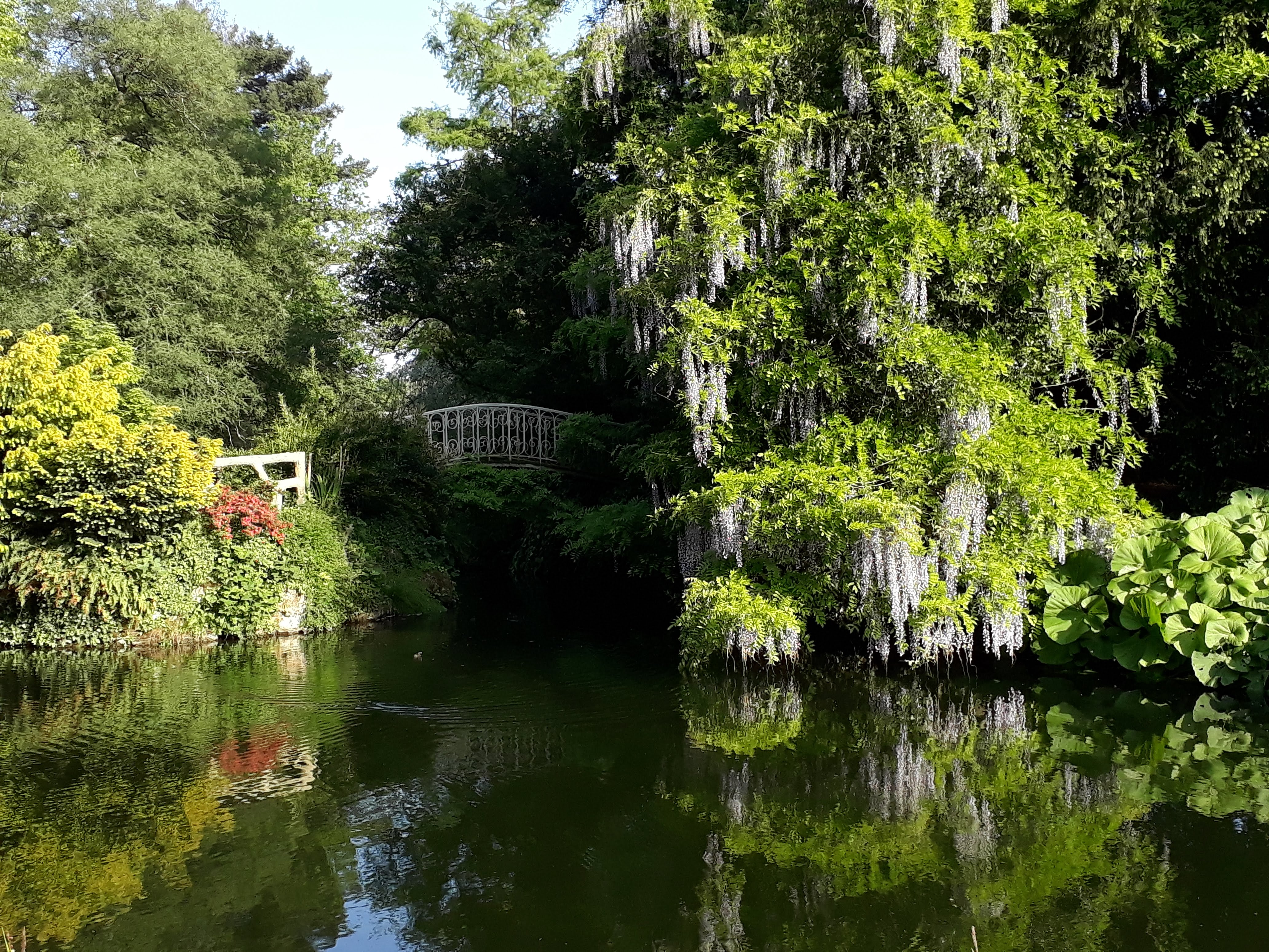 Photo n° 6 de l'avis de Anthony.E fait le 29/05/2018 à 07:46