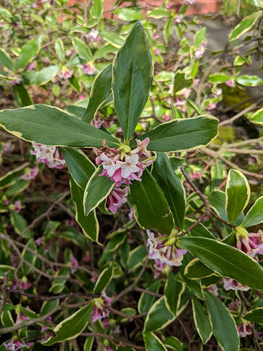 Park «Creston Park», reviews and photos, SE 44th Ave & Powell Blvd, Portland, OR 97206, USA