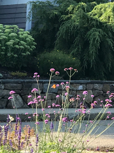 Golf Course «Dunegrass Golf Club», reviews and photos, 200 Wild Dunes Way, Old Orchard Beach, ME 04064, USA