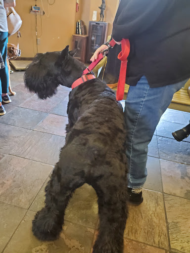Monte Vista Small Animal Hospital image