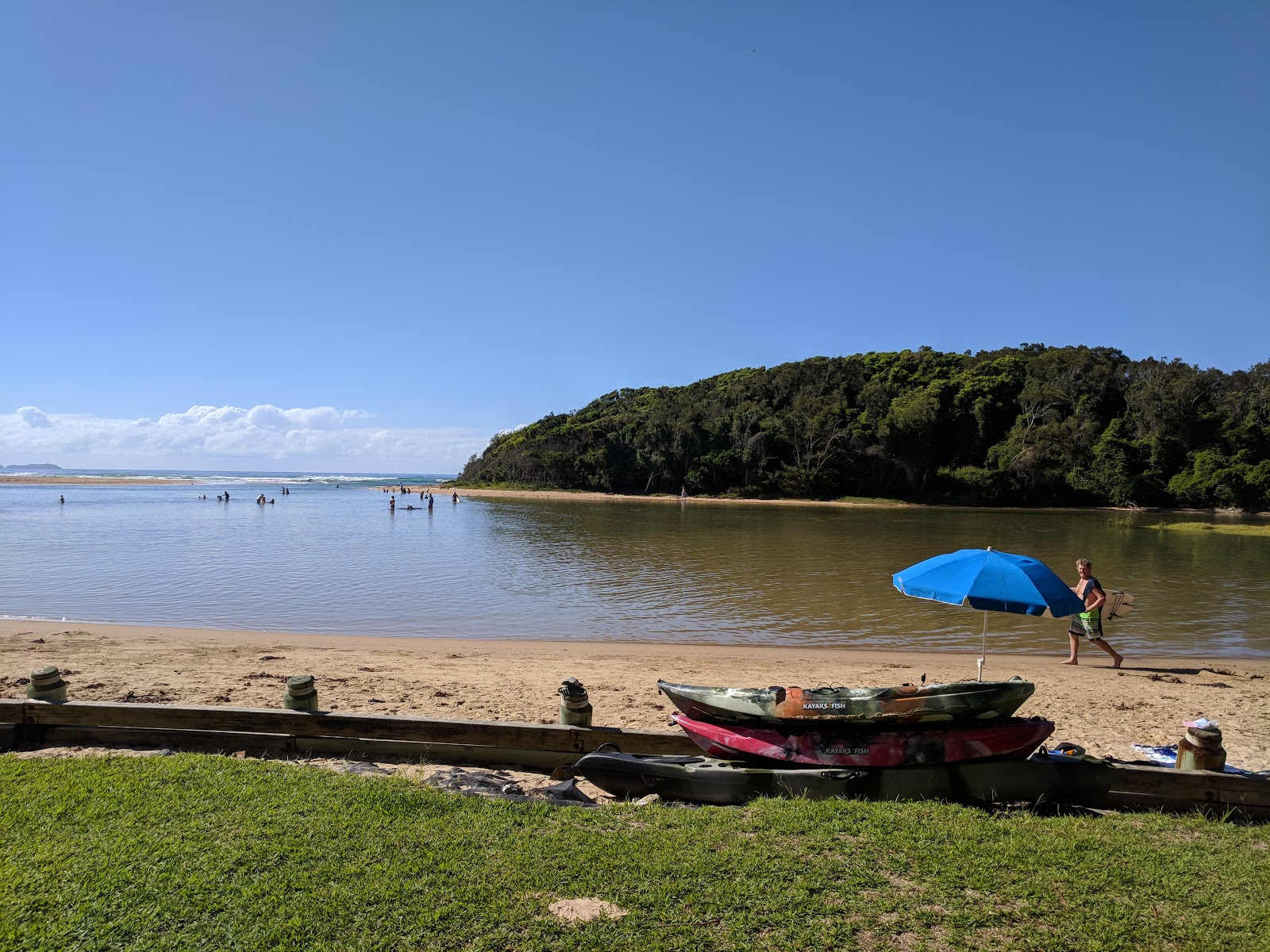 Moonee Beach'in fotoğrafı vahşi alan