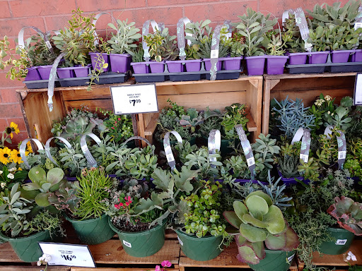 Health Food Store «Sprouts Farmers Market», reviews and photos, 5150 W 120th Ave, Westminster, CO 80030, USA