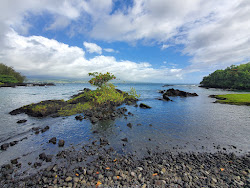 Photo de Keaukaha Beach avec un niveau de propreté de très propre