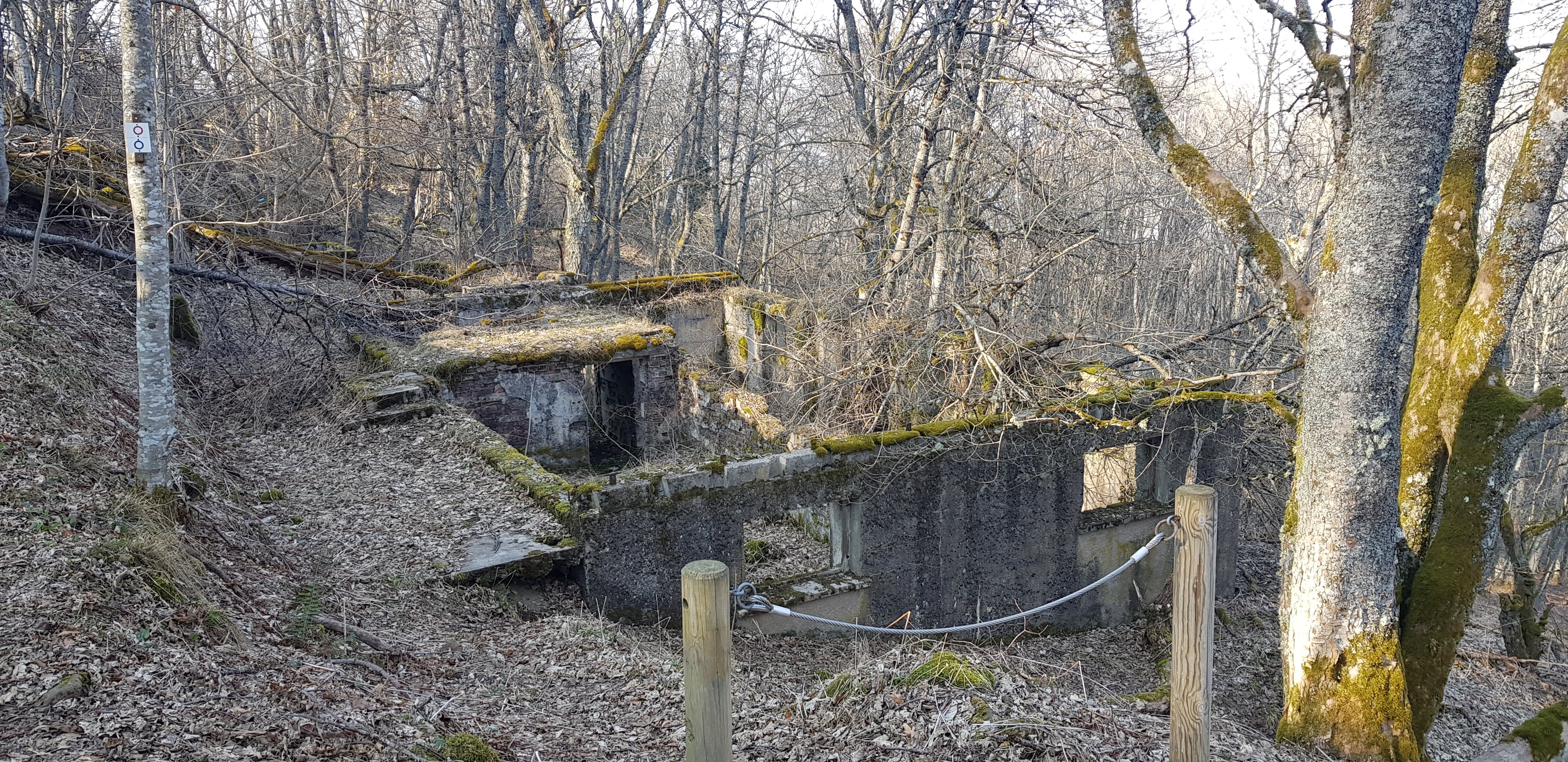 Photo n° 42 de l'avis de Alex.t fait le 22/03/2022 à 18:40