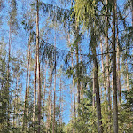 Photo n°7 de l'avis de jungesmedium. fait le 11/06/2023 à 08:34 sur le  Waldhotel Bächlein, Inh. Georg Jung e.K. à Mitwitz