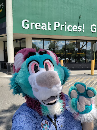 Grocery Store «Winn-Dixie», reviews and photos, 3435 N Pine Ave, Ocala, FL 34475, USA