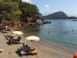 Gemile Bay'in fotoğrafı doğal alan içinde bulunmaktadır