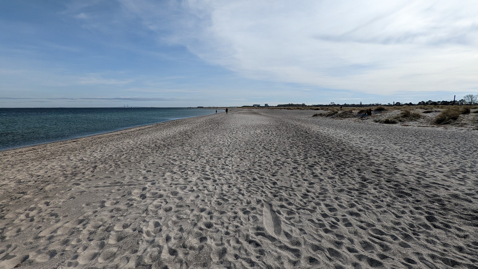 Foto de Amager Beach - lugar popular entre os apreciadores de relaxamento